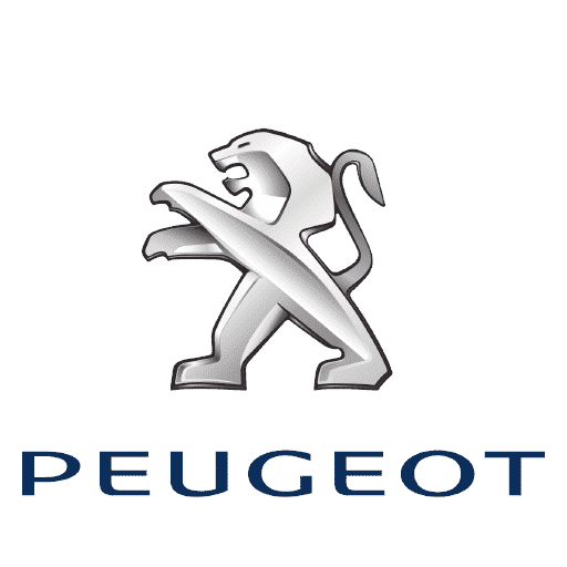 Peugeot Özel Dikim koltuk Kılıfları